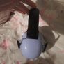 kids ear defenders Image 2