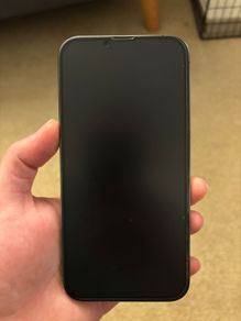 iPhone 13 Pro Max (256GB)