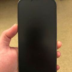 iPhone 13 Pro Max (256GB)