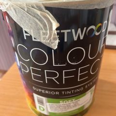 Fleetwood Mistletoe Paint