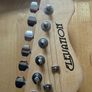 Electric  Guitar Beginner Image 2