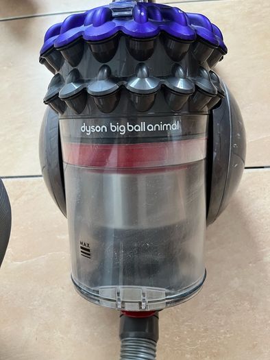 Dyson Big ball Animal