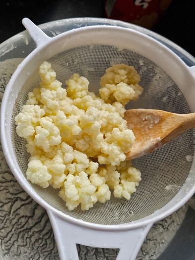 Active Kefir Grains