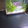 fluval nano marine marcoalgie tank Image 2