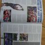 Leinster vs Zebre PRO 14 7th April 2018 Image 7