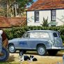 Ferguson Gold Belly classic tractor sign TE 20 tin sign Image 2