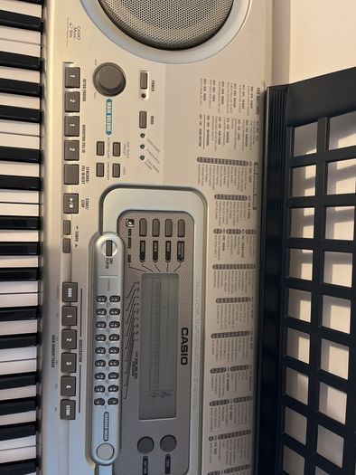 Casio WK-3300 Keyboard with adjustable stand.