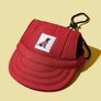 Dog clothes. Jacket, hat, raincoat Image 5