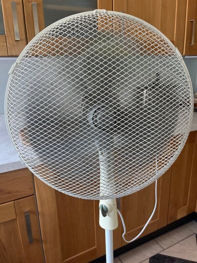 16 Pedestal Fan