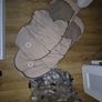 buggy Image 7
