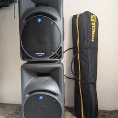 Mackie SRM450 V2