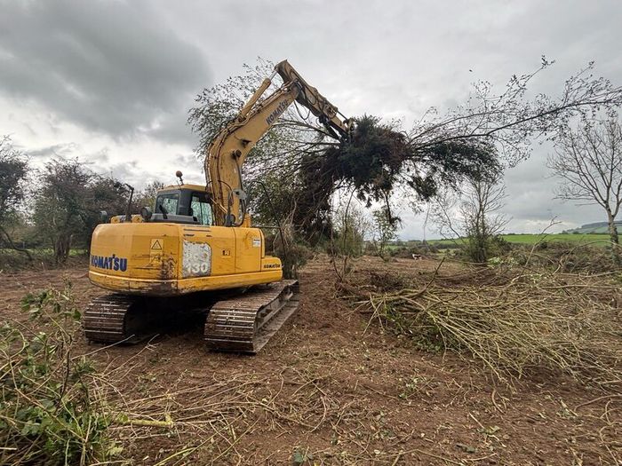 Tree shear saw head and mulcher hire