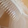 White Veil Image 5