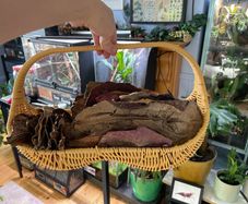 Bioactive vivarium supplies