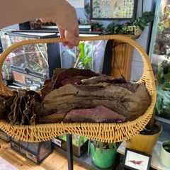 Bioactive vivarium supplies