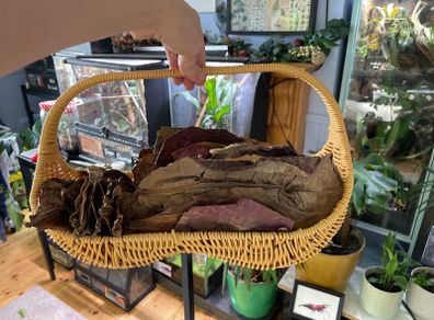 Bioactive vivarium supplies