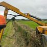 Headge cutting Image 3