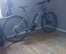 Avenger 29 Electric MTB