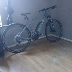 Avenger 29 Electric MTB