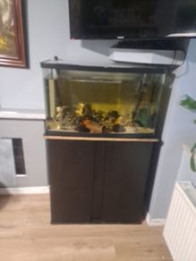 fish tank