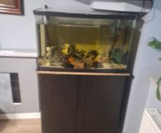 fish tank