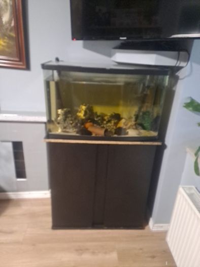 fish tank