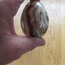 Decorative Solid Egg for Sale Image 3