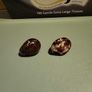 Tagua nuts Image 5
