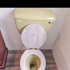 toilet