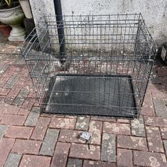dog cag