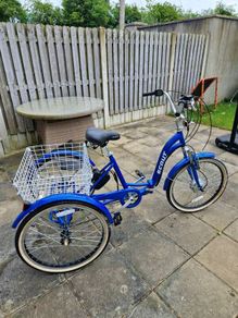Adult Tricycle