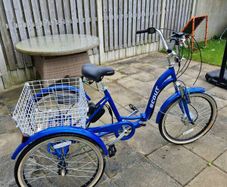 Adult Tricycle