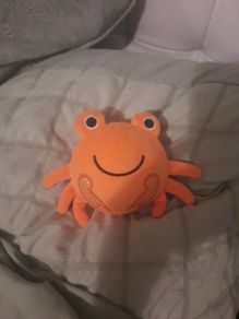 squishy crab