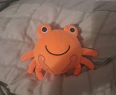 squishy crab