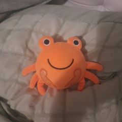 squishy crab