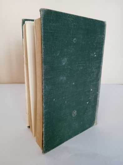 The Story of the Irish in Argentina by Thomas Murray (PT272)