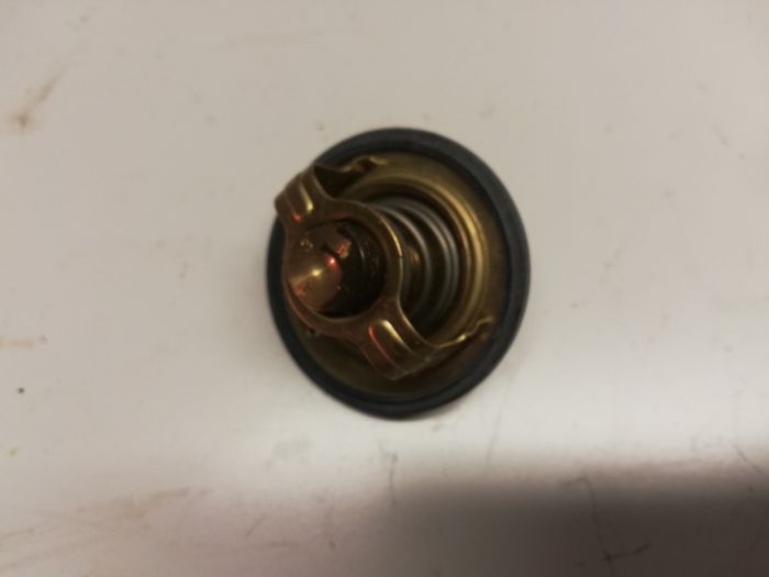 Yamaha FJ1300 Thermostat