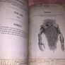 The Middle-earth Puzzle Collection: Riddles & Enigmas Image 8