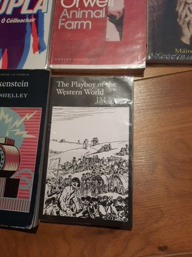 Novels for secondary school