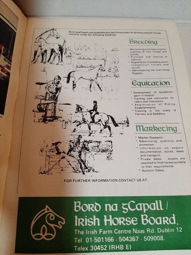 Our irish horses 1980's