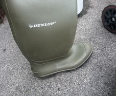 size 8 dunlop
