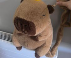 Cute Capybara Plush Backpack / Crossbody Bag with Lemon/Yuzu