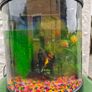 Fish Tank Image 6