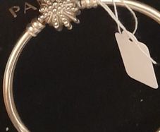 Pandora Bracelet