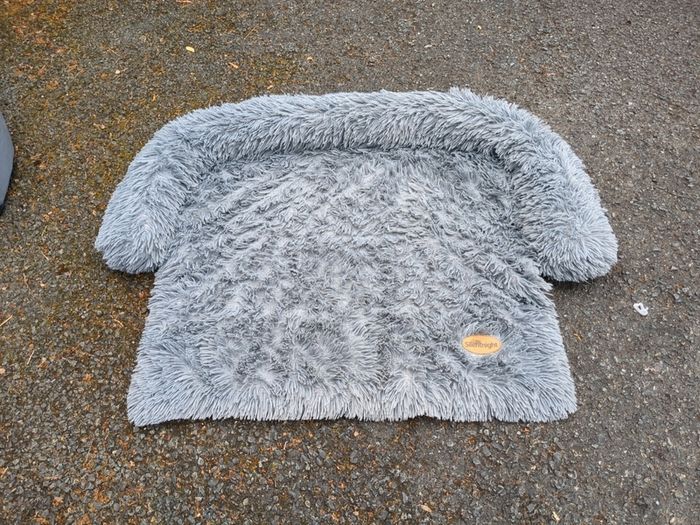 dog bed