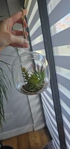 2 artyficial plant in glass bowl