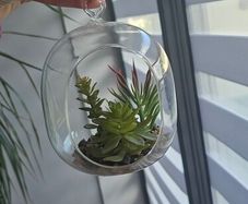 2 artyficial plant in glass bowl