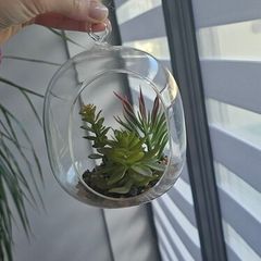 2 artyficial plant in glass bowl