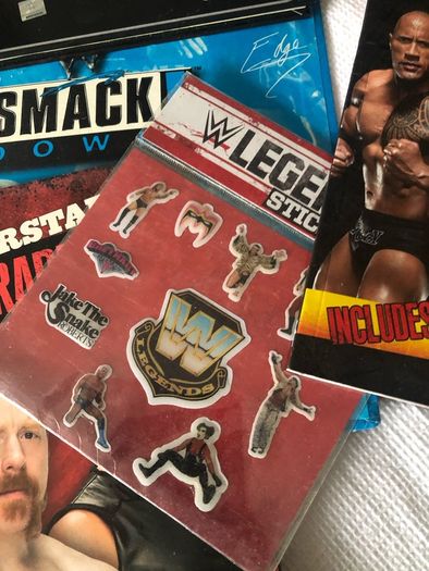 Wrestling smack down bundle