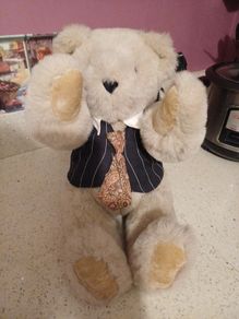 Teddy bear